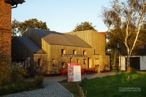 Homunkulus Hiddensee